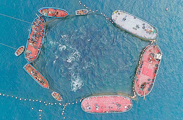 Illustration der Almadraba-Fangmethode