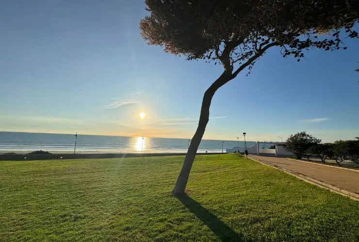 Mirador de La Atalaya con vistas al mar en Conil